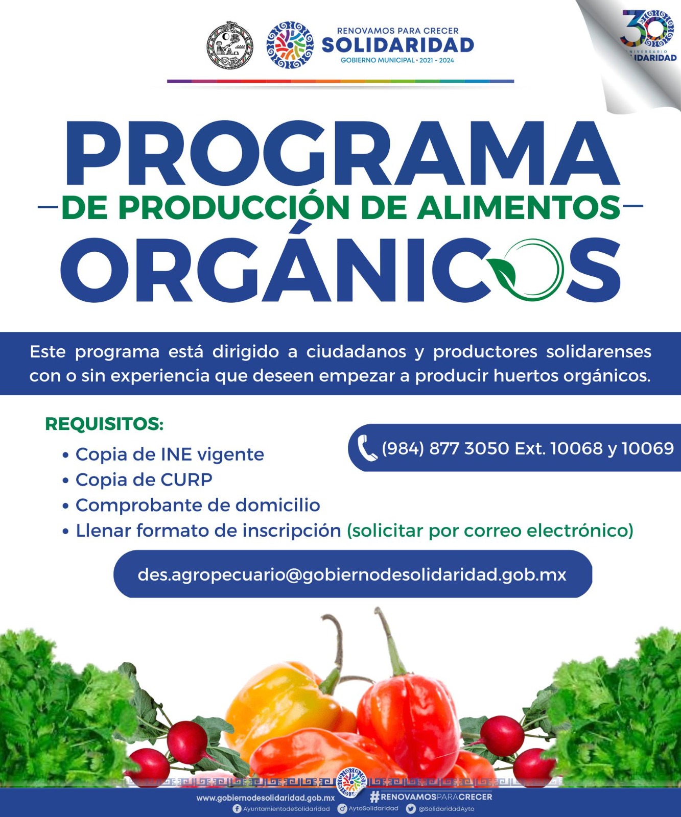 Gobierno municipal invita a producir sus propios alimentos, con huertos orgánicos – H. Ayuntamiento de Solidaridad
