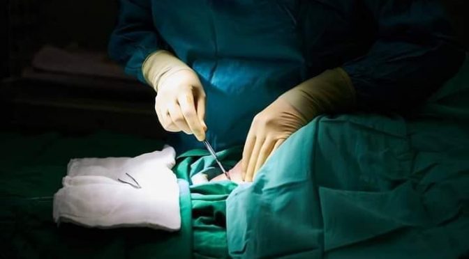 Se prolongan veinte años de vida con trasplante renal; van quince beneficiados: Elías Ibarra
