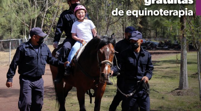 SSP ha dado 2 mil 100 sesiones gratuitas de equinoterapia