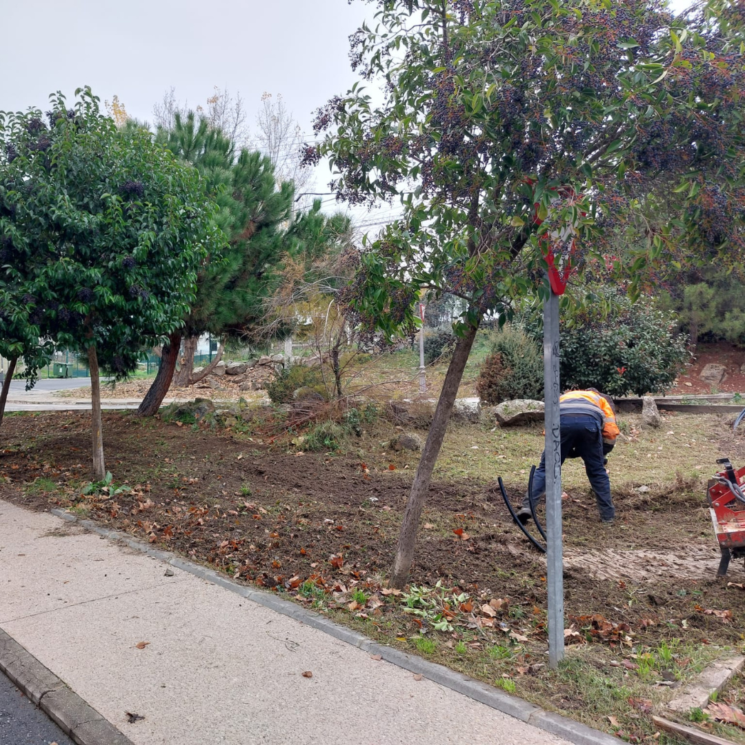 La concejalía de Medio Ambiente recupera la zona de Miramadrid