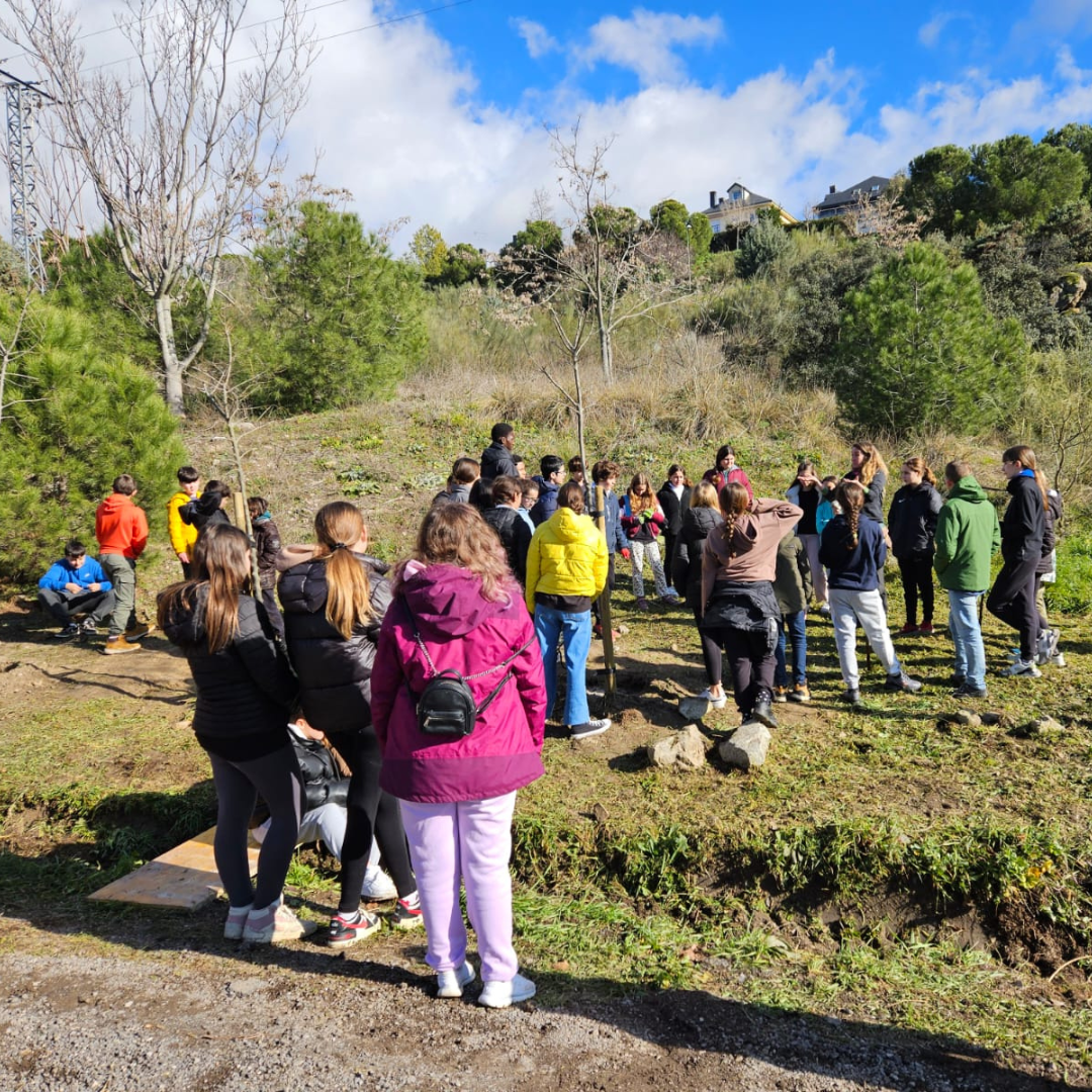Alumnos de Torrelodones colaboran con medio ambiente en la plantación de lodones