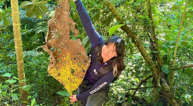 Estudiante michoacana se abre paso en Biología Tropical y Conservación
