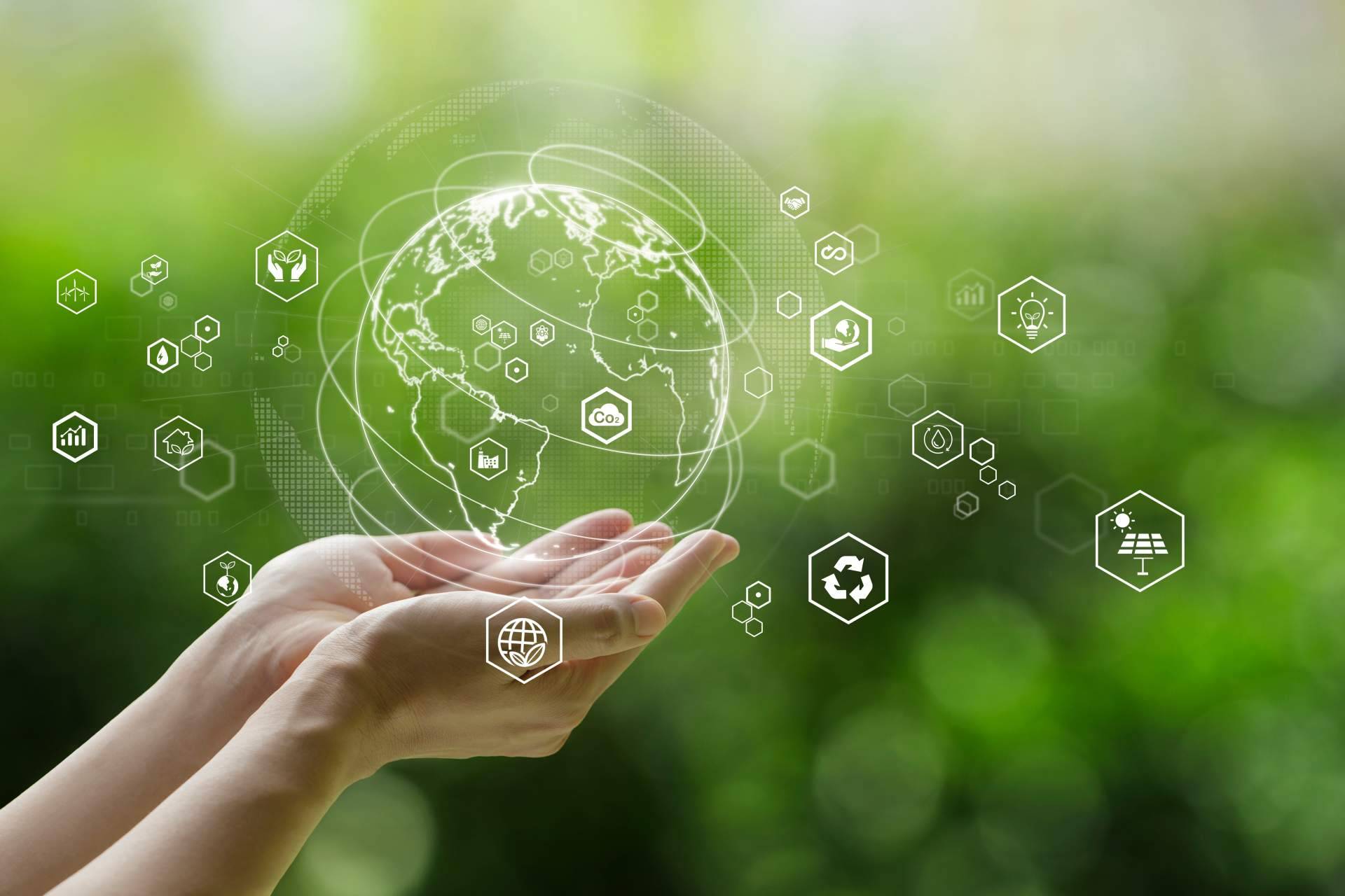 Consultoría para un futuro con desempeño social junto a Socionaut