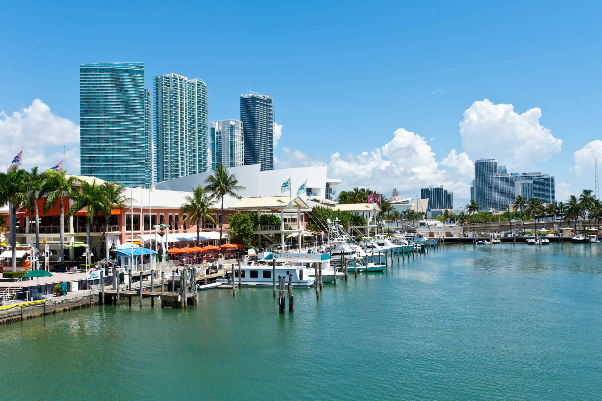 Por qué vivir en Miami gusta tanto, UTG Miami lo explica