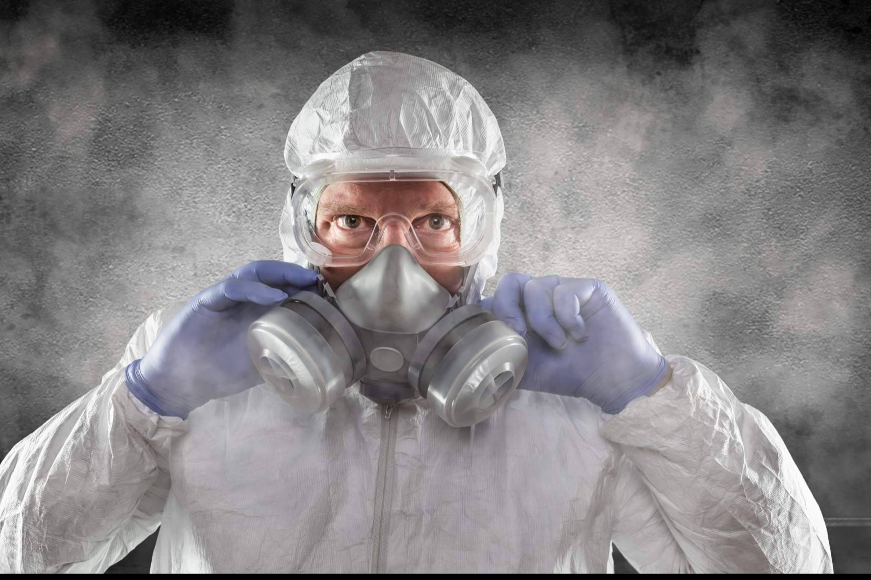 Control de plagas preventivo en México; cómo proteger hogares, negocios e industrias antes de que el problema aparezca